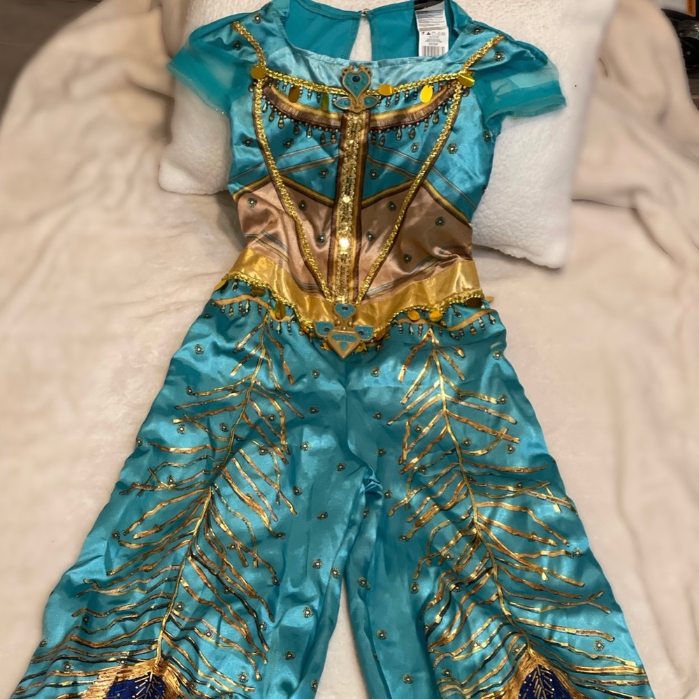 Princess jasmine costume